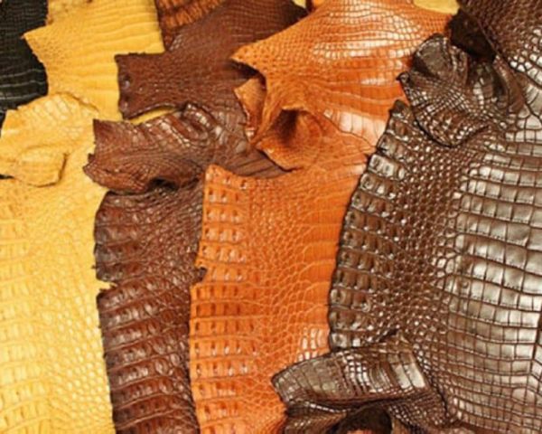 Thời gian, tuổi thọ sử dụng da cá sấu là bao lâu ?